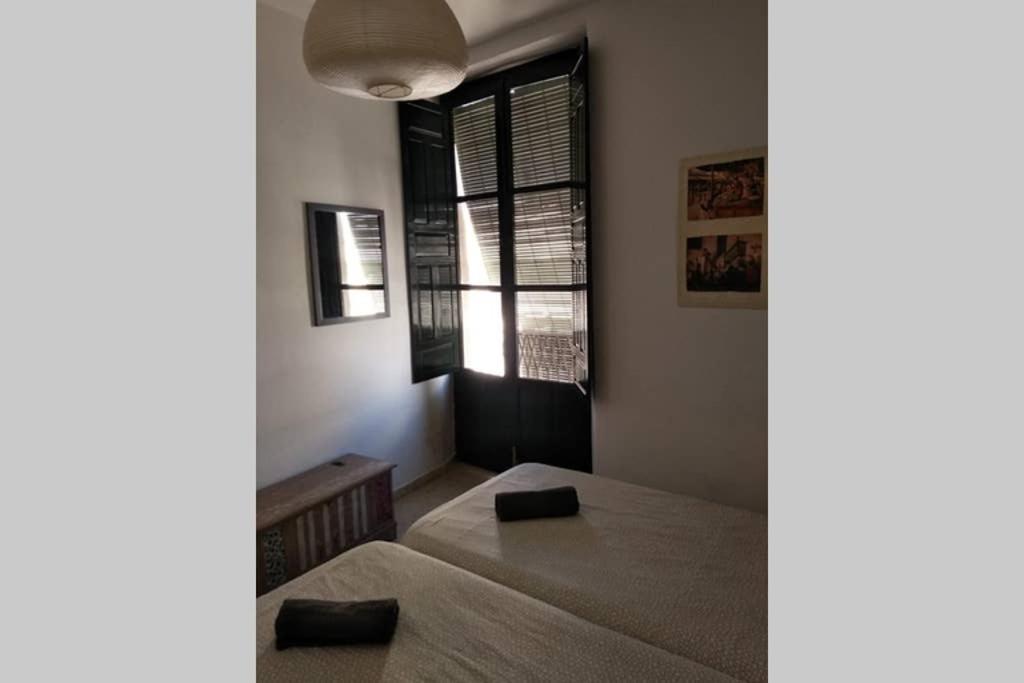 Apartamento Centro Encarnacion 2º I Appartamento Siviglia Esterno foto